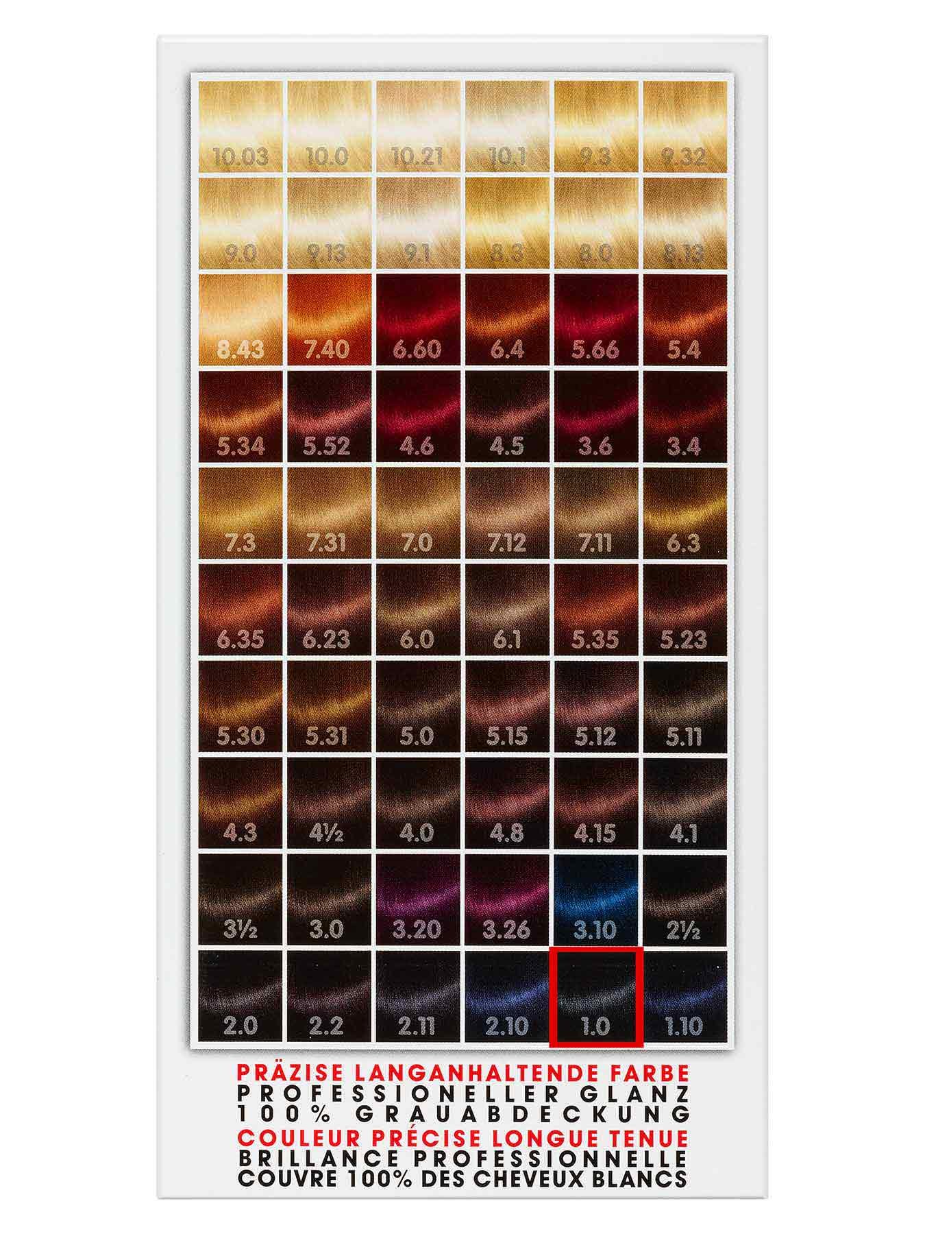 1-0-Natur-Schwarz-Dauerhafte-Haarfarbe-Color-Me-1Stk-Rueckseite-Garnier-Deutschland-gr